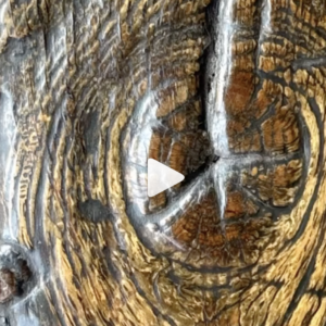 Re waxing this magnificent second half 17th century English oak refectory table.